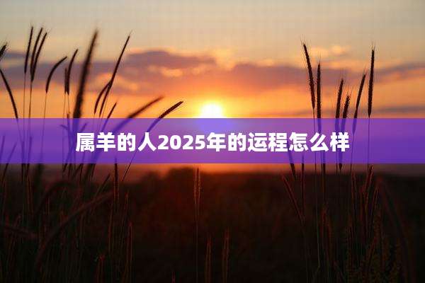 属羊的人2025年的运程怎么样