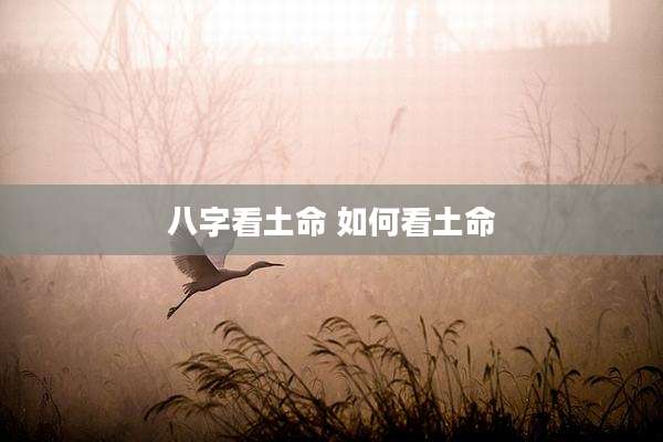 八字看土命 如何看土命