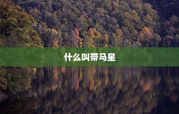 什么叫带马星