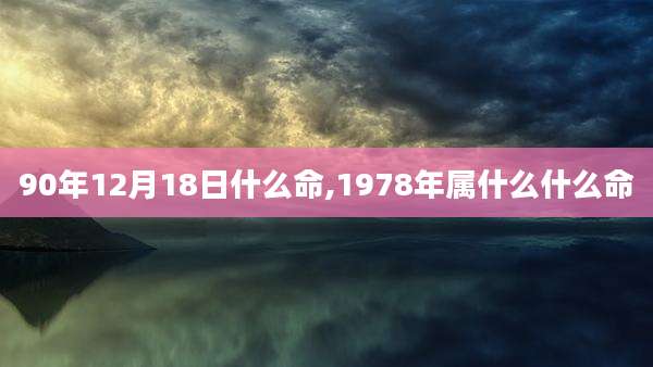 90年12月18日什么命,1978年属什么什么命