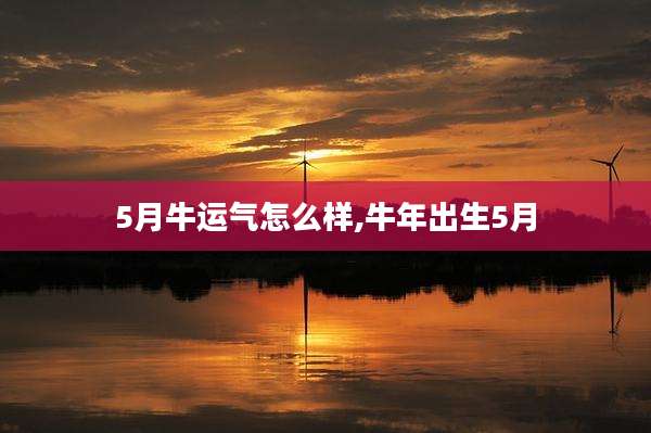 5月牛运气怎么样,牛年出生5月