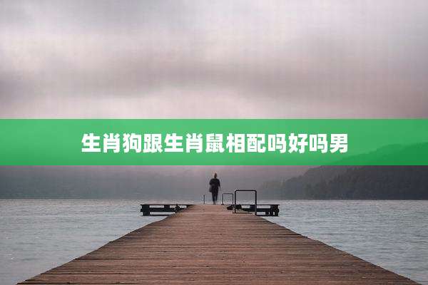 生肖狗跟生肖鼠相配吗好吗男