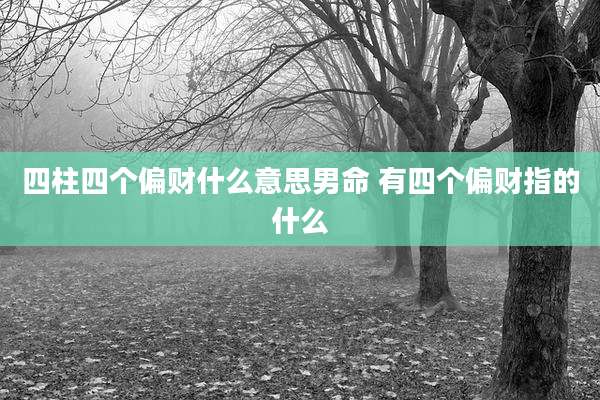 四柱四个偏财什么意思男命 有四个偏财指的什么