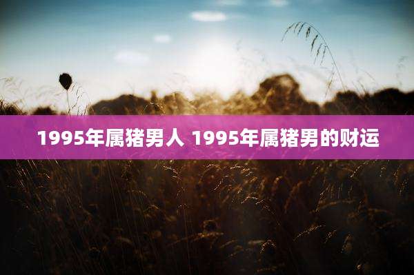 1995年属猪男人 1995年属猪男的财运