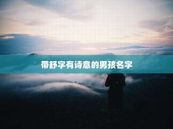 带舒字有诗意的男孩名字