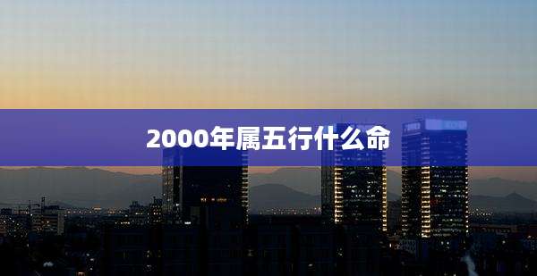 2000年属五行什么命