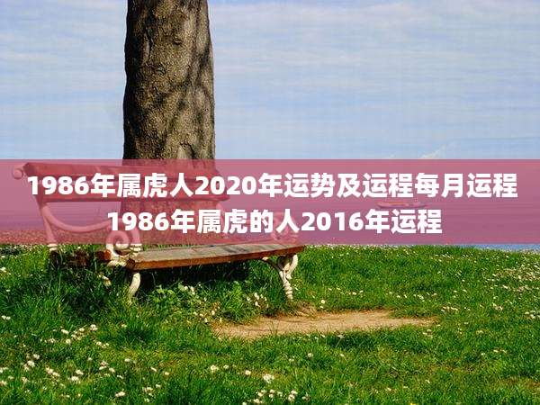 1986年属虎人2020年运势及运程每月运程 1986年属虎的人2016年运程