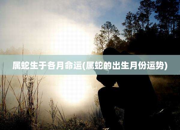 属蛇生于各月命运(属蛇的出生月份运势)