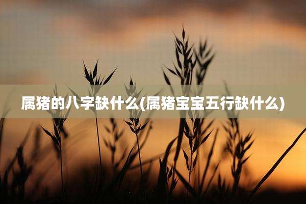 属猪的八字缺什么(属猪宝宝五行缺什么)