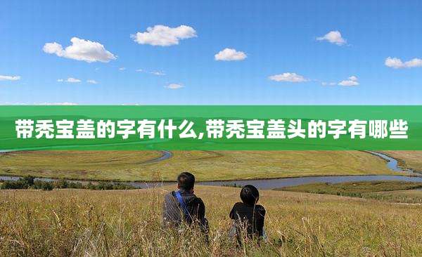 带秃宝盖的字有什么,带秃宝盖头的字有哪些