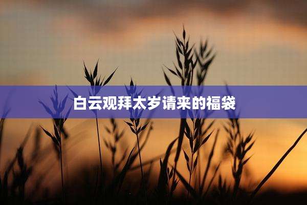 白云观拜太岁请来的福袋
