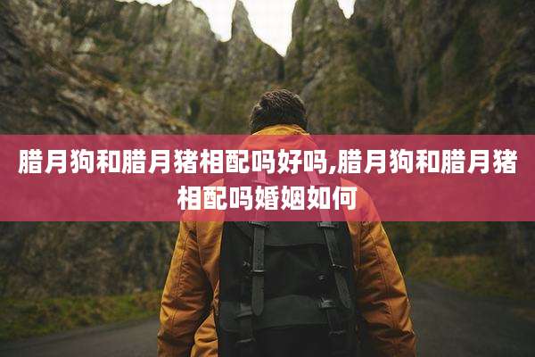 腊月狗和腊月猪相配吗好吗,腊月狗和腊月猪相配吗婚姻如何