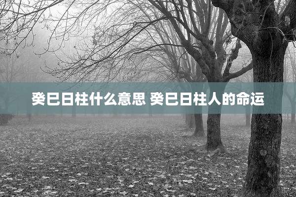 癸巳日柱什么意思 癸巳日柱人的命运