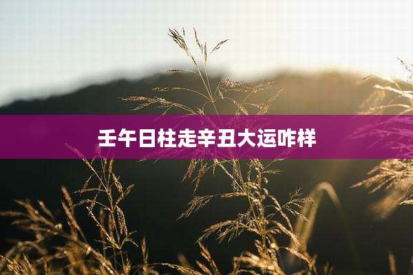 壬午日柱走辛丑大运咋样
