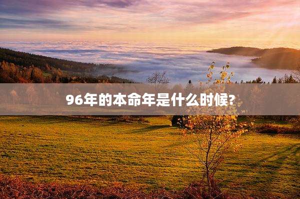 96年的本命年是什么时候?