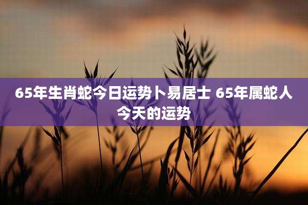65年生肖蛇今日运势卜易居士 65年属蛇人今天的运势