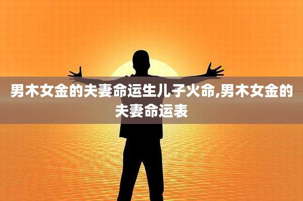 男木女金的夫妻命运生儿子火命,男木女金的夫妻命运表