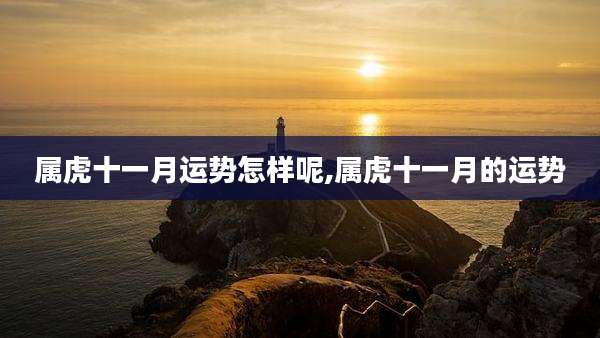 属虎十一月运势怎样呢,属虎十一月的运势