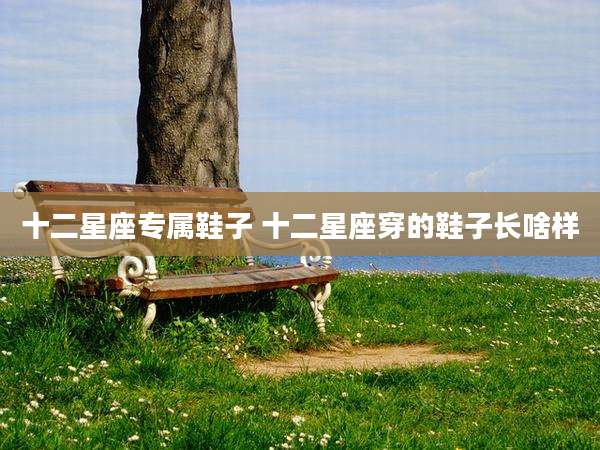 十二星座专属鞋子 十二星座穿的鞋子长啥样