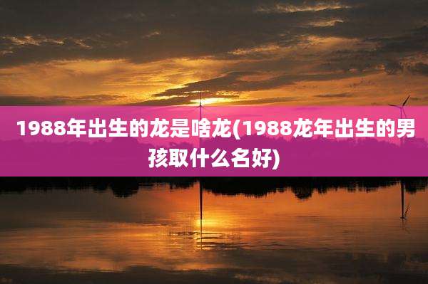 1988年出生的龙是啥龙(1988龙年出生的男孩取什么名好)