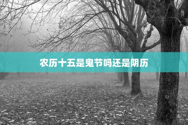 农历十五是鬼节吗还是阴历