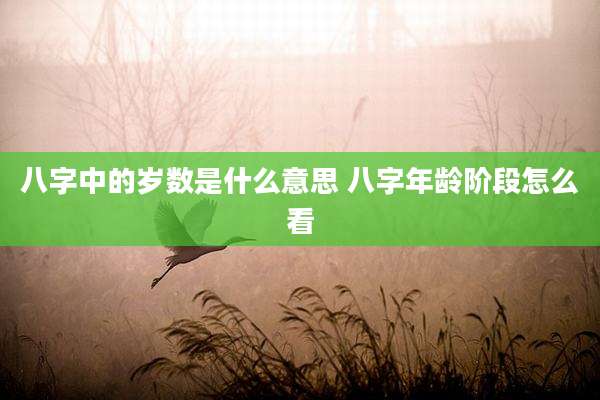 八字中的岁数是什么意思 八字年龄阶段怎么看