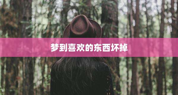 梦到喜欢的东西坏掉