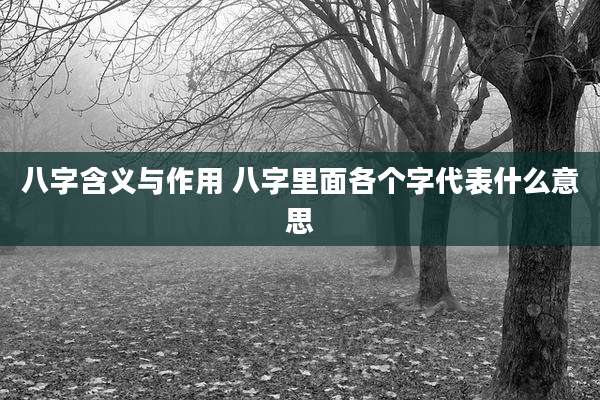 八字含义与作用 八字里面各个字代表什么意思