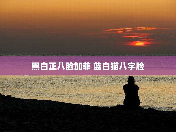 黑白正八脸加菲 蓝白猫八字脸