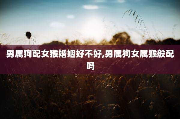男属狗配女猴婚姻好不好,男属狗女属猴般配吗