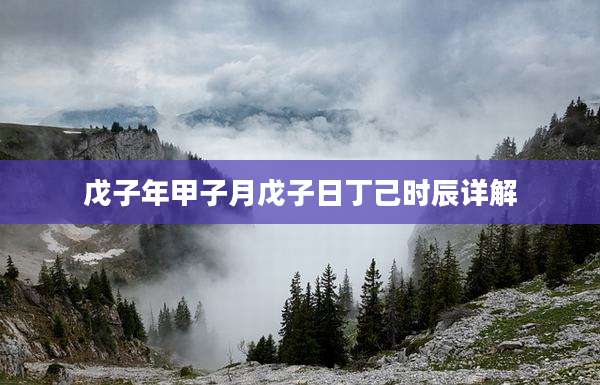 戊子年甲子月戊子日丁己时辰详解