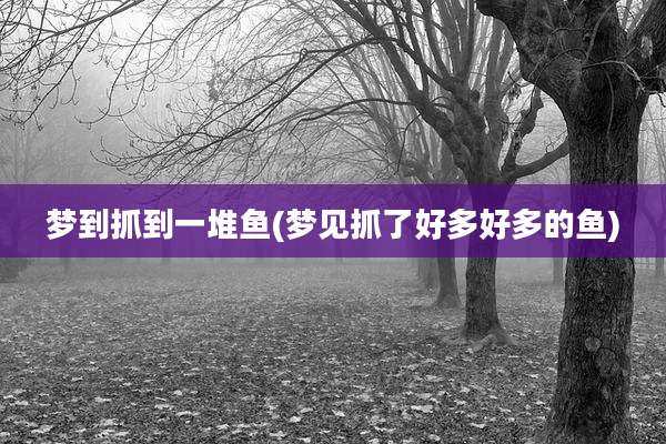 梦到抓到一堆鱼(梦见抓了好多好多的鱼)