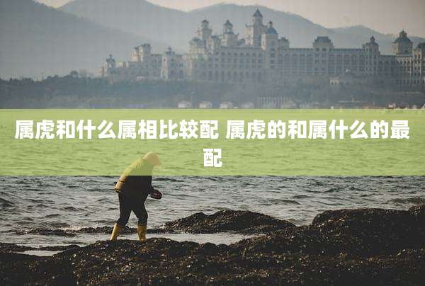 属虎和什么属相比较配 属虎的和属什么的最配