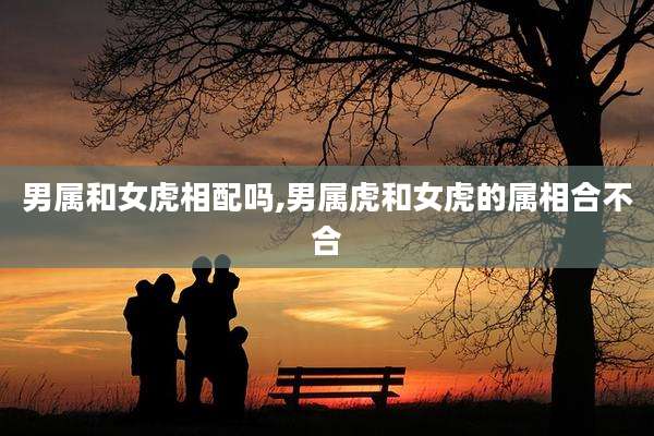 男属和女虎相配吗,男属虎和女虎的属相合不合