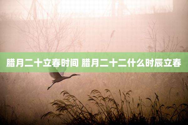 腊月二十立春时间 腊月二十二什么时辰立春