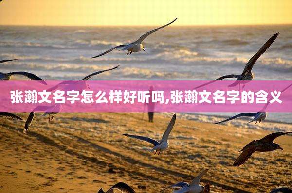 张瀚文名字怎么样好听吗,张瀚文名字的含义
