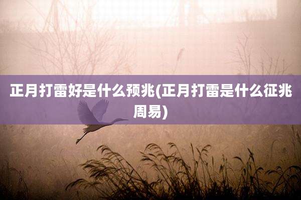 正月打雷好是什么预兆(正月打雷是什么征兆周易)