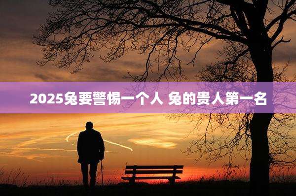 2025兔要警惕一个人 兔的贵人第一名