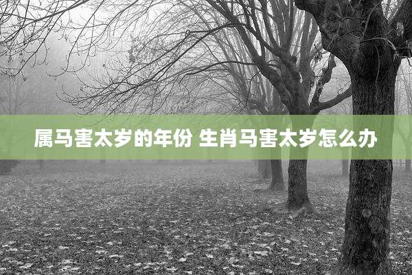 属马害太岁的年份 生肖马害太岁怎么办
