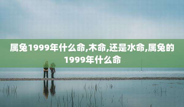 属兔1999年什么命,木命,还是水命,属兔的1999年什么命