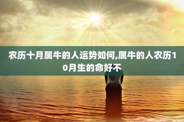 农历十月属牛的人运势如何,属牛的人农历10月生的命好不