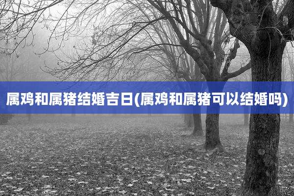 属鸡和属猪结婚吉日(属鸡和属猪可以结婚吗)