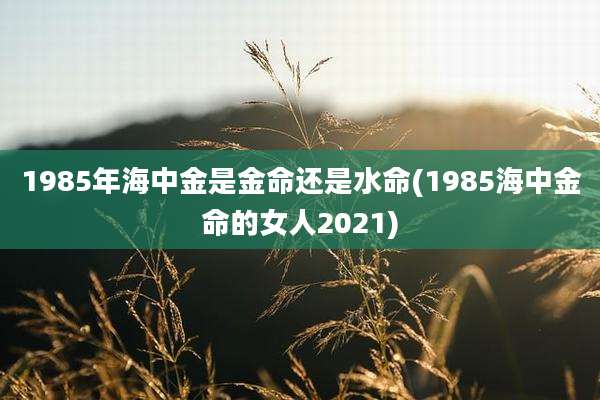 1985年海中金是金命还是水命(1985海中金命的女人2021)
