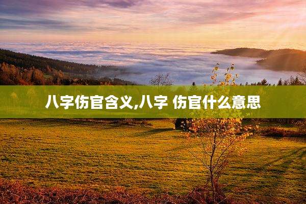八字伤官含义,八字 伤官什么意思