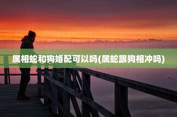 属相蛇和狗婚配可以吗(属蛇跟狗相冲吗)