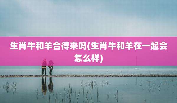 生肖牛和羊合得来吗(生肖牛和羊在一起会怎么样)
