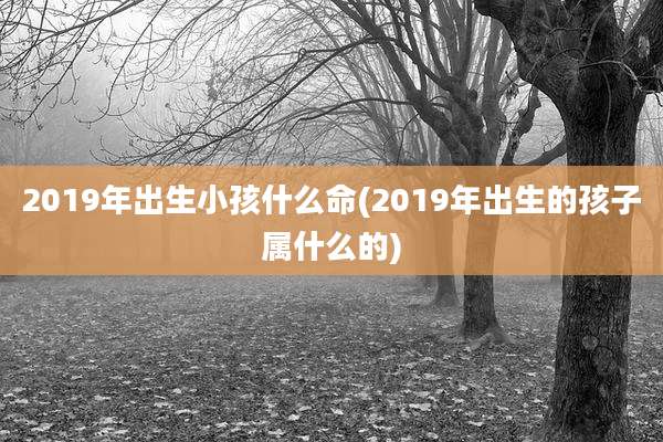 2019年出生小孩什么命(2019年出生的孩子属什么的)