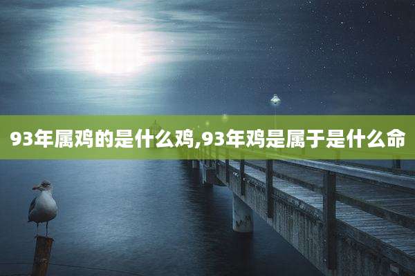 93年属鸡的是什么鸡,93年鸡是属于是什么命