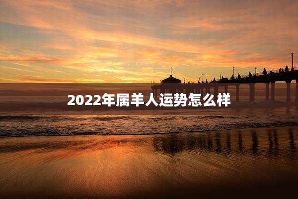 2022年属羊人运势怎么样