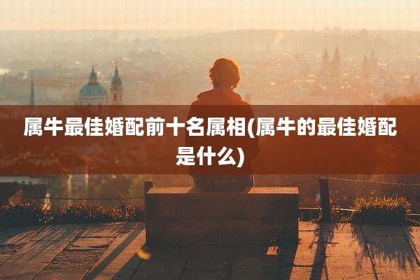 属牛最佳婚配前十名属相(属牛的最佳婚配是什么)